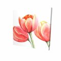 Fondo 16 x 16 in. Three Tulips Closeup-Print on Canvas FO2793356